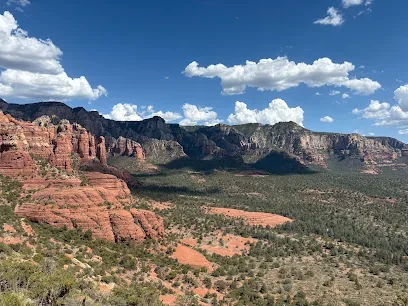 Snoopy Rock